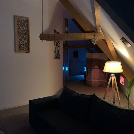 Nid De Cigogne Apartment Illhaeusern Bagian luar foto