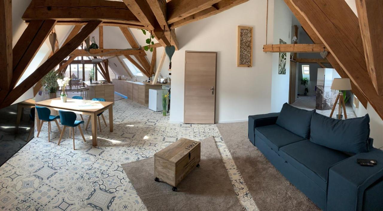 Nid De Cigogne Apartment Illhaeusern Bagian luar foto