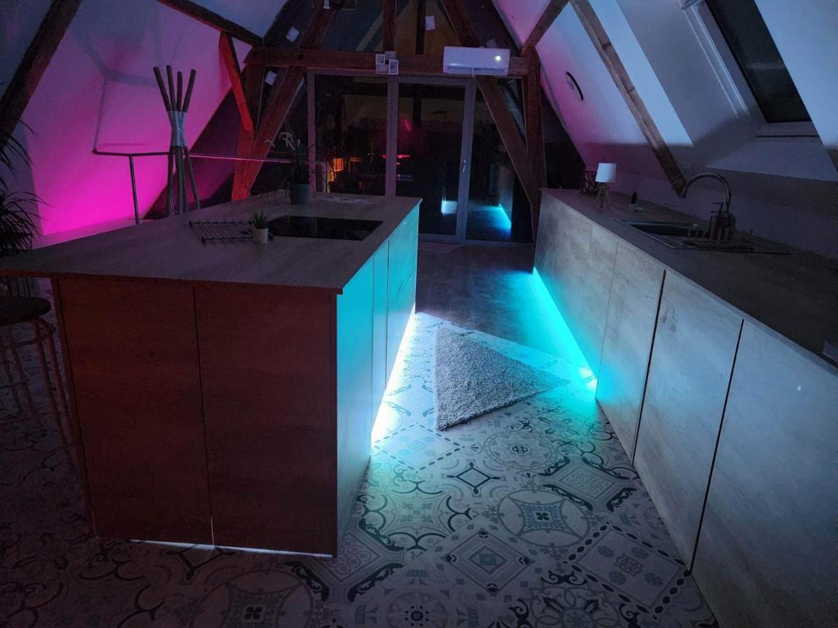 Nid De Cigogne Apartment Illhaeusern Bagian luar foto