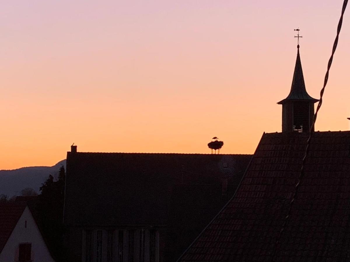 Nid De Cigogne Apartment Illhaeusern Bagian luar foto