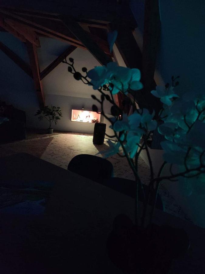 Nid De Cigogne Apartment Illhaeusern Bagian luar foto